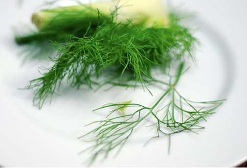 ‘Food Academy’ Pasta With Fennel And Lemon