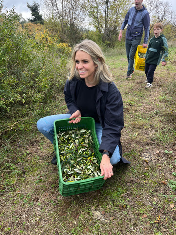 First Harvest Limited Edition Olive Oil